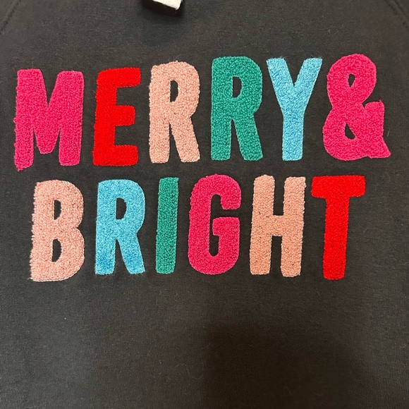 Royce Brand Holiday Fleece sweatshirt “Merry & Bright” size Large GUC - Picture 8 of 10